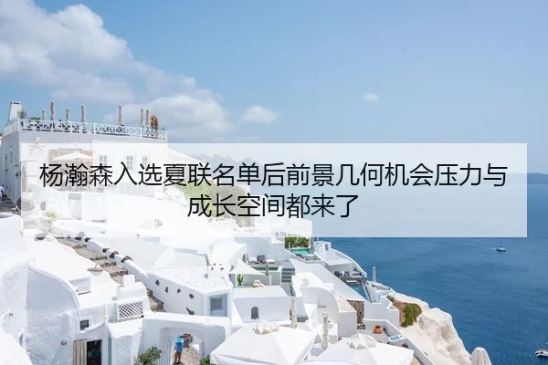 杨瀚森入选夏联名单后前景几何机会压力与成长空间都来了（bet365）